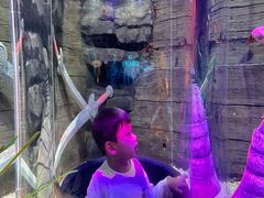 -沈阳海洋探索中心