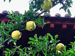 -南京金牛湖风景区