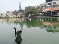 -大梅沙海滨公园