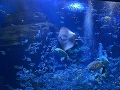 -多彩贵州城极地海洋世界