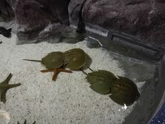 -福州罗源湾海洋世界旅游区