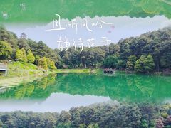 -铁山坪森林公园