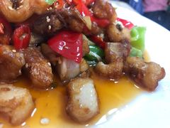 -煲来饱去冷水鱼