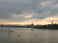 -九龙湖公园