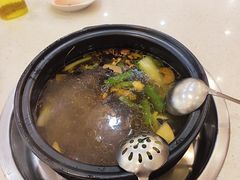-蜀皇·菌汤鲜黄牛肉汤锅(宽窄巷子店)