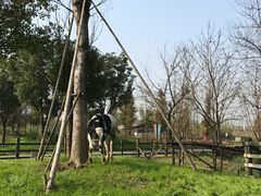 -田园东方蜜桃村的田野营地
