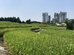-迪茵湖田家舍生态农场