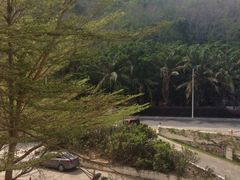 高级山景房-三亚亚龙湾凯莱仙人掌度假酒店