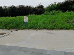 -中国药科大学（江宁校区）-图书馆