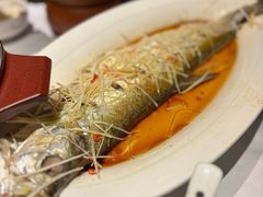清蒸武昌鱼-原鄉本味 楚菜 丹江口鱼(北苑店)