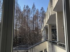 -同济大学-北苑食堂