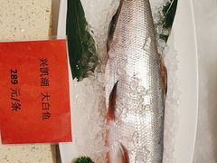 -好彩酒楼烤鸭坊