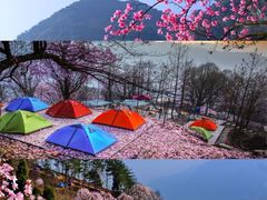 -九皇山景区