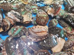 -船家渔(徐州北路店)