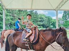 -太阳岛度假酒店