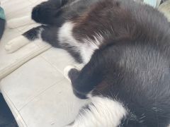 -小时光咖啡馆(北锣鼓巷店)