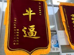 -美美宠物诊疗中心·异宠·骨科(滨江东信分院)