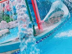 -重庆海昌加勒比海水世界