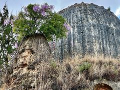 -彩色沙林风景区
