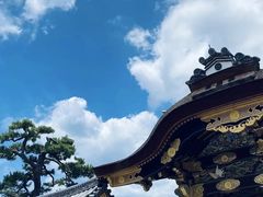 -奈良公园