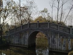 -合肥滨湖国家森林公园