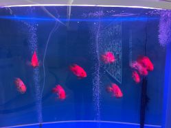 -西美医疗美容门诊部