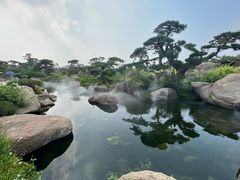 -罗红摄影艺术馆