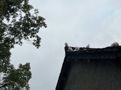 -良渚古城遗址公园