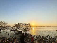 -宝安西湾红树林湿地公园