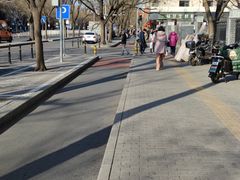 -北京大学燕东园