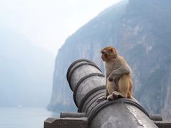 -白帝城·瞿塘峡景区