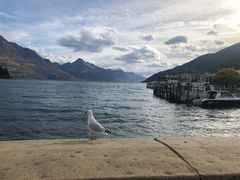 -Patagonia Chocolates(皇后镇店)