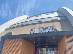 -丁老爷子苏香圆