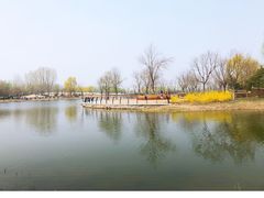 -东郊湿地公园