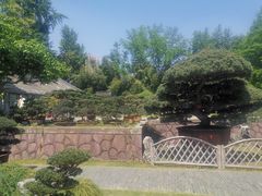 -水绘园