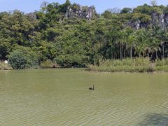 -星湖旅游景区七星岩