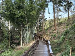 -水濂山森林公园