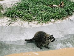 -泉州海丝野生动物世界