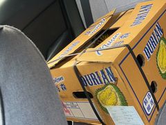 -江苏凌家塘农副产品批发市场果品区