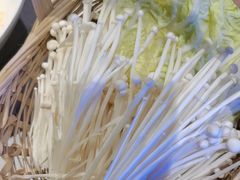 -同仁四季椰子鸡(海岸城天利店)
