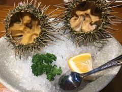 海胆刺身-三月居酒屋(青年大街店)