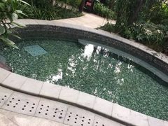 -青城道汤池