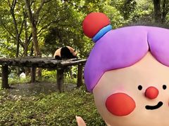 -都江堰中华大熊猫苑