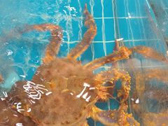 -新丁香海鲜酒店(银海商贸城店)