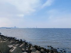 -上海滨江森林公园