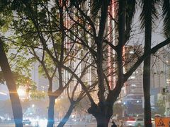 -万绿园