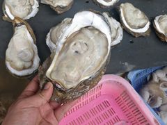 -南沙十九涌渔人码头-南门