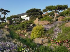 -罗红摄影艺术馆