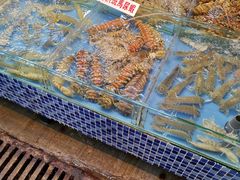 -广东名门