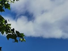 -石家庄市植物园